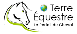 Terre Equestre - Le Portail du Cheval
